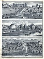 George Leibee Stock Farm Residence, Jared H. Smith, A.A. Crane, Osco, Henry County 1875